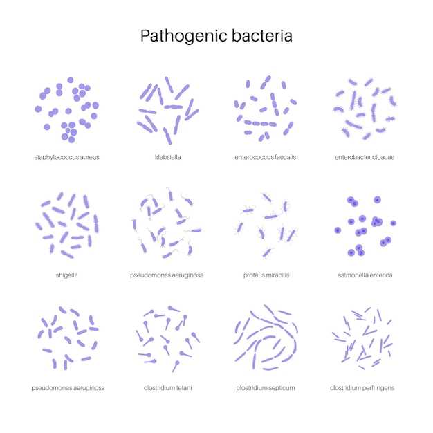 Positive Effects on Skin