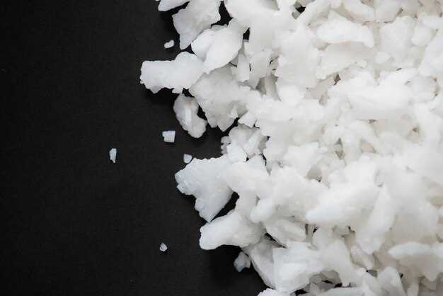 What is a Salt Substitute?