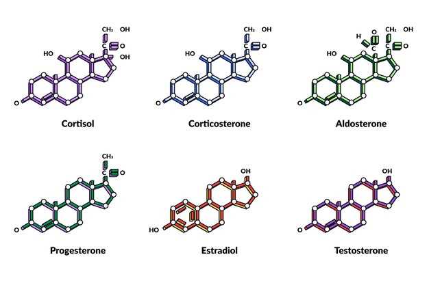 Usage and Dosage