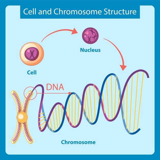 undefinedExperience the difference with Spironolactone today!</em>“></p>
<p><!-- Тело статьи, включая заголвки H1, H2, H3 --></p>
<div style=