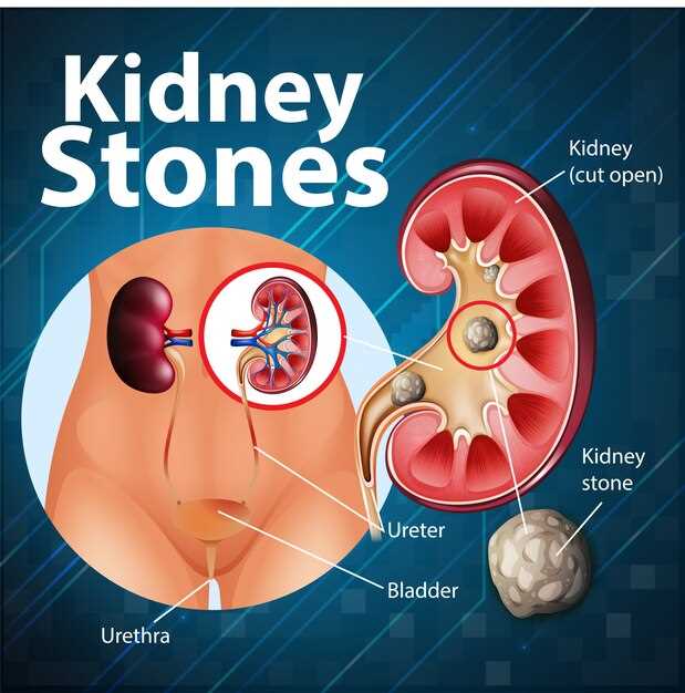Spironolactone action kidney