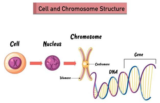 Spironolactone and ocella