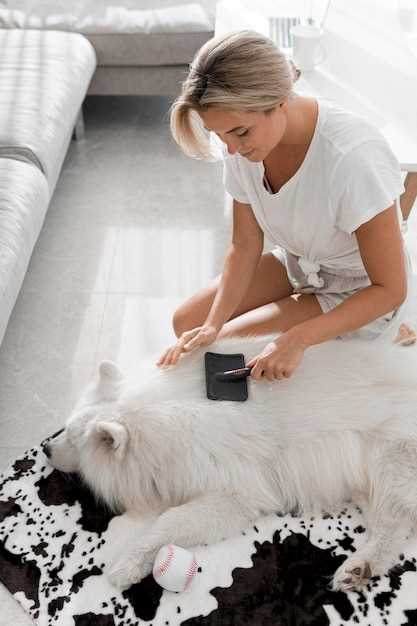 Spironolactone canine dosage