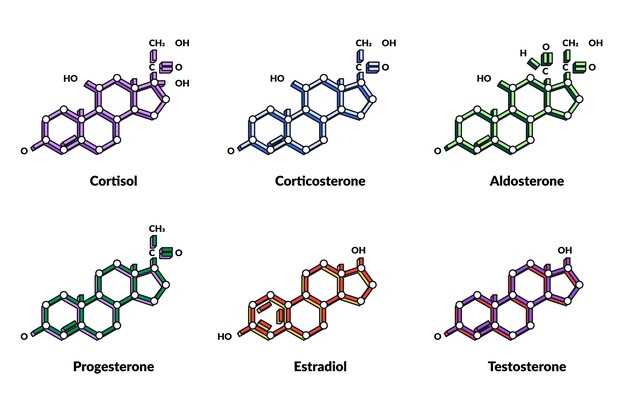 Spironolactone furosemide combination