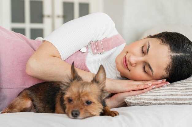 Spironolactone side effects in dogs