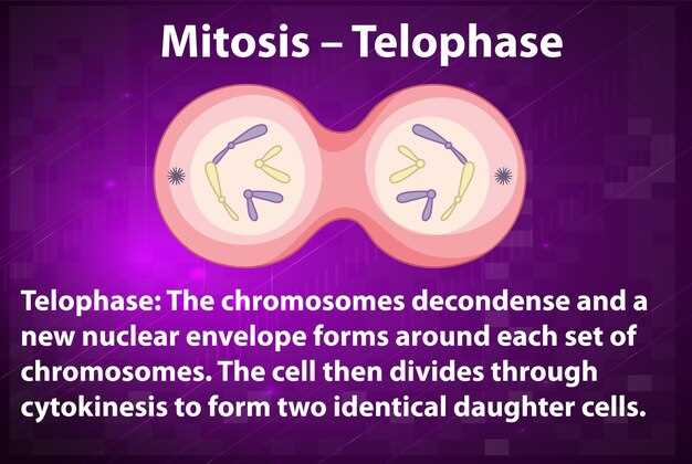 Spironolactone vs androcur